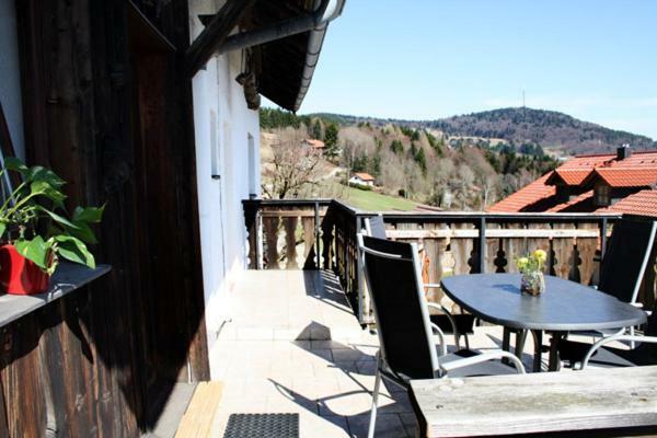 Ferienwohnung Auf Dem Erlebnisreiterhof Kreipl Grattersdorf エクステリア 写真