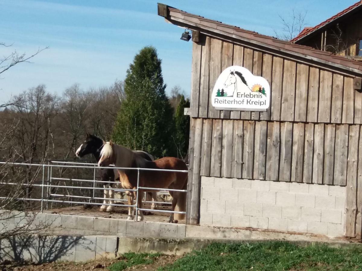 Ferienwohnung Auf Dem Erlebnisreiterhof Kreipl Grattersdorf エクステリア 写真